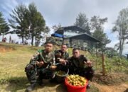 Dukung Ketahanan Pangan, Satgas Yonif 521/DY Manfaatkan Lahan Kosong di Sekitaran Pos