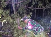 Babinsa Sertu Budi Utomo Sigap Tangani Pohon Tumbang, Akses Warga Simo Kembali Normal