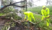 Respon Cepat Polisi dan BPBD Evakuasi Pohon Tumbang, Jalur Magetan – Bendo Kembali Lancar