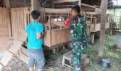 Babinsa Koramil Kemusu Dorong Peternak Kambing Tingkatkan Kebersihan Kandang dan Produktivitas