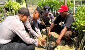 Cegah Abrasi, Siswa Diktukba SPN Polda Jatim Tanam Mangrove dan Berbagi Bansos