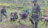 Keluarga Berkebun Satgas Yonif 521/DY Membantu Masyarakat Ketahanan Pangan di Distrik Kurima