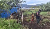 Lahan Pangan Satgas Yonif 521/DY Bantu Warga Ubah Lahan Kosong Jadi Sumber Pangan Bersama di Kobakma