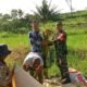 Pantau Potensi Hasil Panen Petani Ngampon, Babinsa Ampel Dampingi Pengubinan Padi