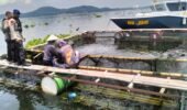 Satpolairud Polres Purwakarta Tingkatkan Keamanan Waduk Jatiluhur, Sambangi Peternak Ikan Saat Patroli
