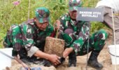 Hijaukan Lereng Merapi, TNI dan Forkopimda Boyolali Tanam Pohon Cegah Bencana