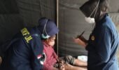 Nakes Polri Berikan Layanan Kesehatan Gratis bagi Korban Banjir di Aceh Tamiang