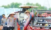 Kapolri Tegaskan Kontribusi Polri dalam Swasembada Pangan, Produksi Jagung Capai 3,5 Juta Ton di 2025