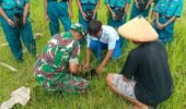 Babinsa Ngeni Bersama Siswa SMPN 2 Wonotirto Tanam Bibit Trembesi Mendukung Program Bersatu Dengan Alam