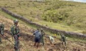 Semangat Gotong Royong Satgas Yonif 521/DY Bersama Warga Membuka Lahan Pertanian di Distrik Napua