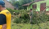 Angin Kencang Robohkan Pohon, Rumah Warga Kejayan Rusak — Respons Cepat Babinsa dan BPBD Cegah Dampak Lebih Besar