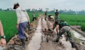 Hari Ketiga TMMD ke-127: TNI dan Masyarakat Gotong Royong Bangun Jalan dan Talud