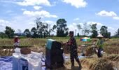 Dukung Swasembada Pangan Nasional, Babinsa Desa Slumbung Dampingi Petani Panen Padi
