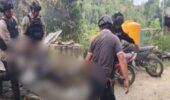 Dua Korban Tewas dalam Penyerangan di Pos Pengamanan PT Kristal Nabire, Satgas Ops Damai Cartenz Lakukan Penyelidikan Mendalam
