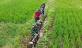 Guna Optimalkan Produksi Padi, Babinsa Dan Petani Resapombo Sinergi Bersihkan Lahan Pertanian
