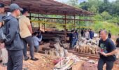 Polri Bongkar Penambangan Ilegal dan Penyelundupan Pasir Timah ke Malaysia, 7 Tersangka Diamankan