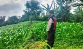 Bhabinkamtibmas Polsek Sukorejo Dampingi Petani Optimalkan Lahan Produktif