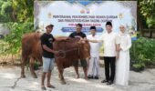 Polres Kediri Kota Tebar Kepedulian di Idul Adha 1447 H, Salurkan 10 Sapi dan 8 Kambing Qurban