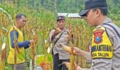 Polres Ponorogo Sahabat Petani, Dampingi Warga Wujudkan Swasembada Pangan