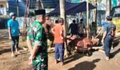 Sapi Kurban Presiden RI Seberat 970 Kg Disembelih di Ponpes Citra Suhada Jatisrono, Warga Antusias Hadiri Kegiatan
