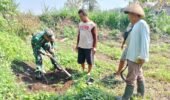 Tanam Pohon Mahoni Babinsa Sananwetan Bersama Poktan Rahayu, Cegah Erosi Dan Dukung Ketahanan Pangan