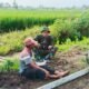 Belajar Asah Asih Asuh, Satgas TMMD Petik Inspirasi dari Kisah Sukses Bapak Suradi
