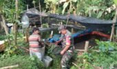 Babinsa Nogosari Dampingi Budidaya Lele Warga, Dorong Ketahanan Pangan dan Ekonomi Desa
