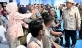 Panen Raya Jagung Bersama Presiden Prabowo, Petani Optimistis Swasembada Pangan Tercapai