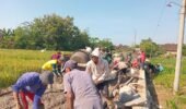 Libur Tanggal Merah Jadi Ajang Gotong Royong, Warga Kauman dan Satgas TMMD Kebut Pengecoran Jalan