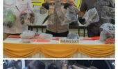 Bikin Merinding! Polisi Tembak Mati Satu Curanmor Perampas Senpi Anggota, Satu Lagi Ditembak Kakinya