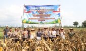 Kapolres Kediri Ikuti Panen Raya Jagung Serentak Kuartal II Tahun 2026