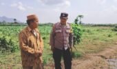 Polisi Sahabat Petani, BKTM Desa Bulu Aktif Dampingi Ketahanan Pangan