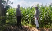 Polisi Turun ke Sawah, Pantau Tanaman Hortikultura demi Ketahanan Pangan Nasional