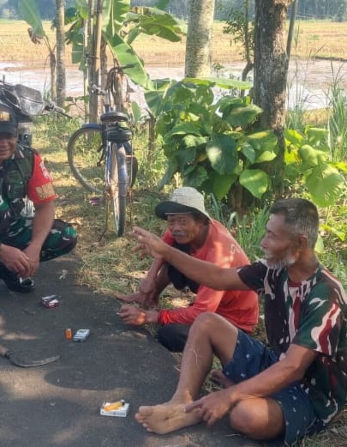 Babinsa Komsos dengan Petani, Pastikan Musim Tanam Ketiga Tetap Aman di Tengah Kemarau
