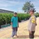 Siklus Tanam Terjaga, Polisi Pantau Pertumbuhan Jagung di Desa Ngampel
