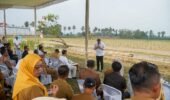 Lampung Dorong Investasi Energi Hijau, Proyek Bioetanol Siap Dikembangkan