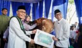 Momentum Iduladha, Pemprov Lampung Dorong Kepedulian dan Kesejahteraan Masyarakat