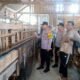 Kawal Asta Cita Presiden, Polsek Tarokan Pastikan Sektor Peternakan Aman dan Produktif