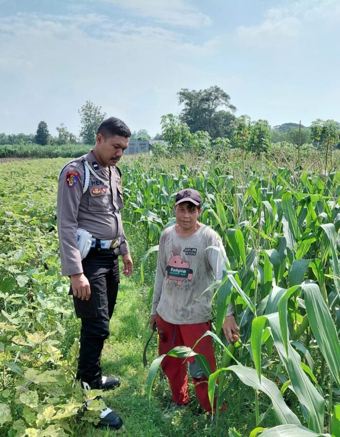 Polmas Dampingi Tanam Jagung Warga, Targetkan Panen maksimal untuk Ketahanan Pangan Desa Wonorejo