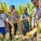 Polresta Sidoarjo Gelorakan Swasembada Pangan Melalui Program P2B