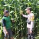Pantau Pengairan dan Pemupukan, Bhabinkamtibmas Jabon Bantu Petani Optimalkan Hasil Jagung