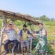 Bhabinkamtibmas Dermo Dampingi Petani Jagung, Perkuat Ketahanan Pangan Menuju Swasembada