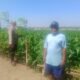 Dukung Swasembada Pangan, Bhabinkamtibmas Sukorame Turun ke Sawah Dampingi Petani Jagung
