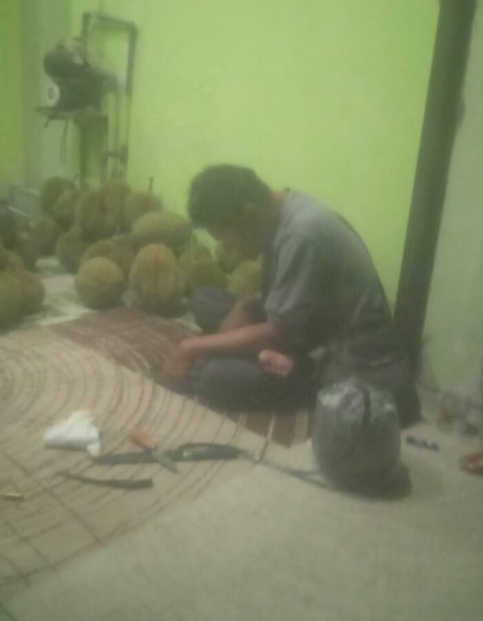 Merintis Usaha dari Nol, Tiga Sekawan Kompak Bangun Bisnis Durian