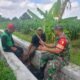 Serap Aspirasi Petani, Sertu Yudhi Rimba Gelar Komsos Ketahanan Pangan Bersama Poktan Kembang Kuning