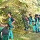 Satgas Pamtas RI-Malaysia Yonarmed 19/Bogani Bersama Tentera Diraja Malaysia (TDM) Gelar Karya Bakti Bersihkan SMA Negeri 1 Entikong