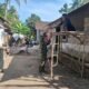 Wujudkan Hunian Layak, Serma Saifur Bersama Warga Gotong Royong Bangun Rumah Ibu Suwarti