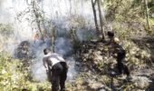 Respon Cepat Call Center 110 Polres Ngawi, Kebakaran Lahan di Bukit Gogor Sine Berhasil Dipadamkan