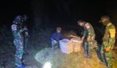 Satgas Pamtas RI-Malaysia Yonarmed 19/Bogani Gagalkan Dugaan Penyelundupan 200 Ekor Burung Kacer di Perbatasan