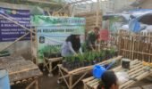 Ketahanan Pangan Keluarga, Serda Wisnu Sulistyo Dampingi KWT Srikandi Budidaya Bawang Merah